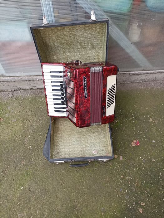 Акордеон Weltmeister Stella 40 баса