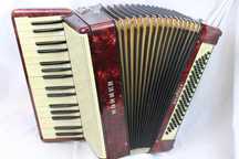 Acordeon - acordeonist pentru obiceiuri de nuntă