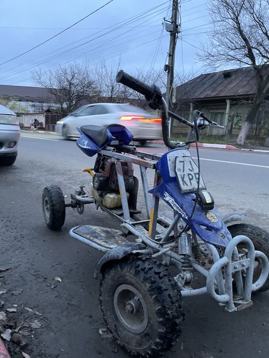 Vand mini atv cu motor motocoasa