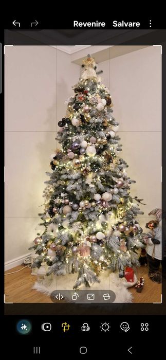 Brad cu ace din silicon