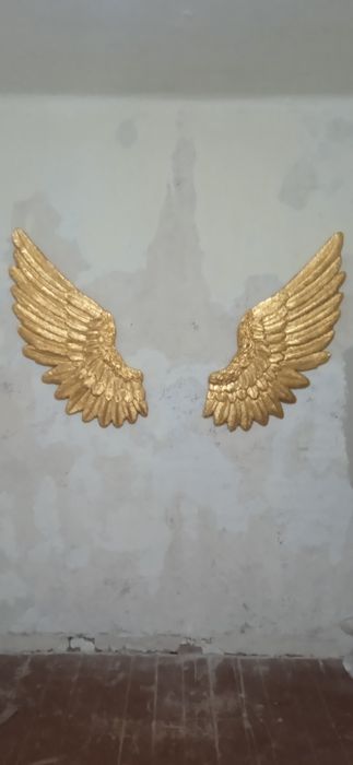 Продам  крылья. .