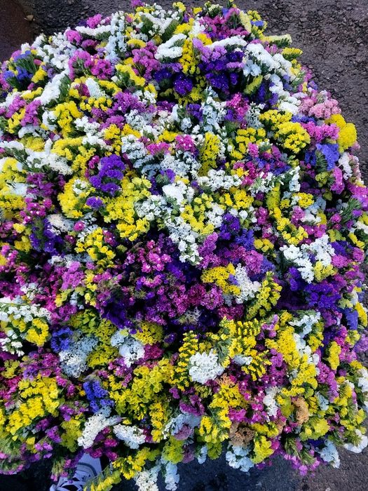 Buchete de flori  — naturale, colorate