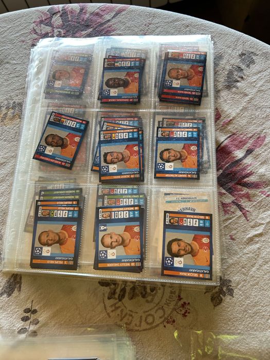 1300 стикера Panini Champions league 2013/14