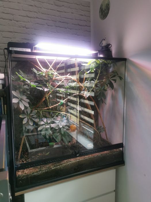 Vând terariu exo terra