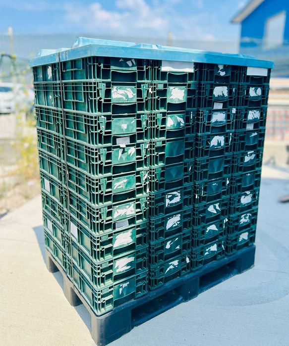 Cutii de depozitare din plastic 40x30x15 (industriale) - palet inclus