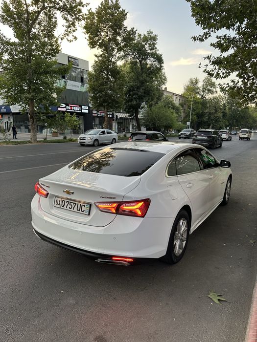 Malibu premier oq 2020