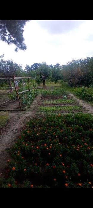 Продается дача .