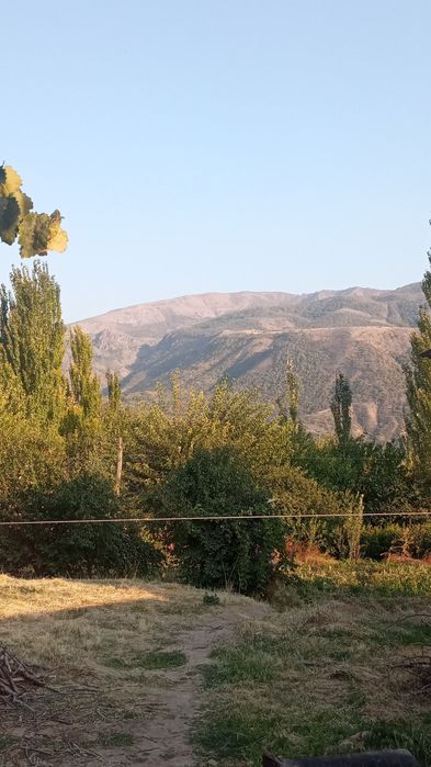 Земля большое 24