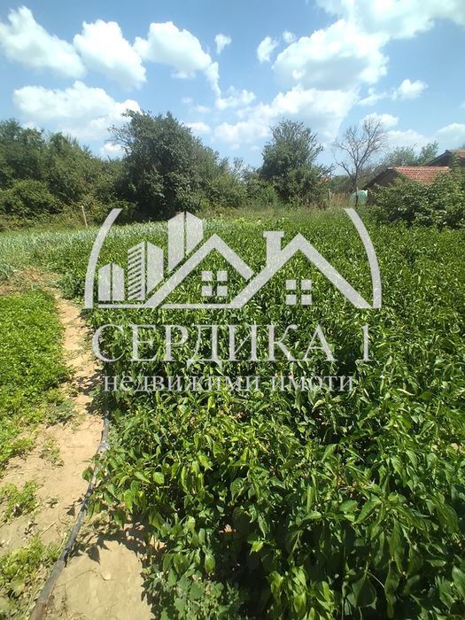 Продава се Парцел в с. Багренци, Област Кюстендил - 1311 кв.м за 21 €/кв.м - Снимка #1