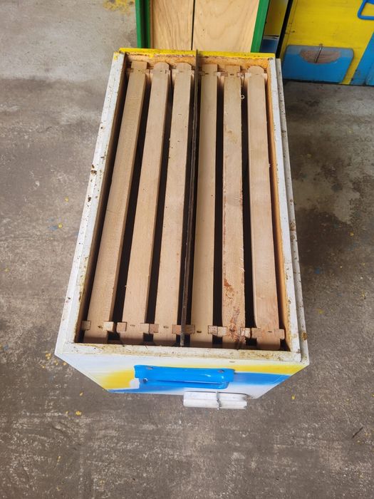 Cutie/Cutii  pentru stupi / roiuri cu doua iesiri