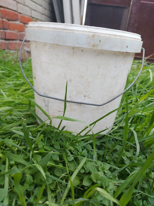 Срочно продам вёдра 5л пластиковые с дырочки для растений