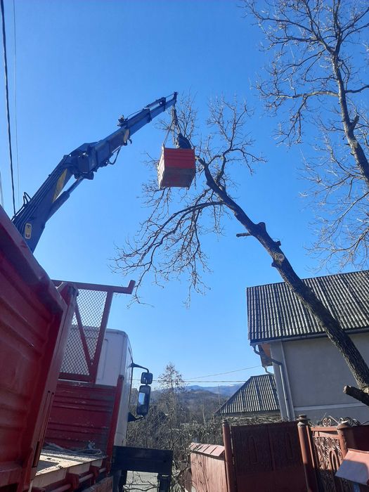 Camion macara disponibil