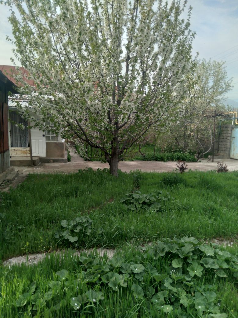Xovli uy sotiladi