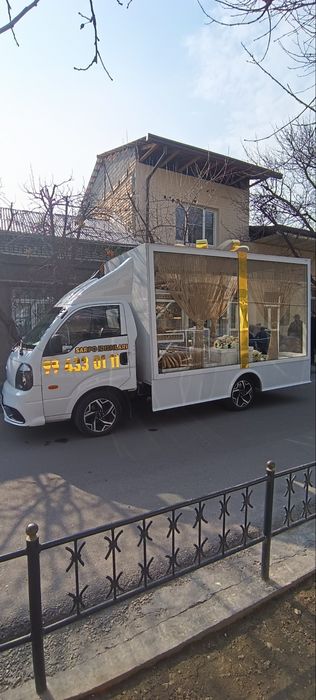 Sarpo qutilar ijaraga va moshina