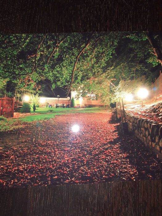 cabana de inchiriat de Revelion.