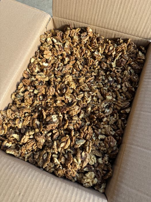 Miez de Nuca Maro, cafeniu, Pasha & Walnuts