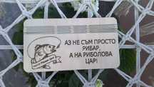 Дървен плик за пари