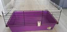 Cusca iepuras, hamster sau porcusor