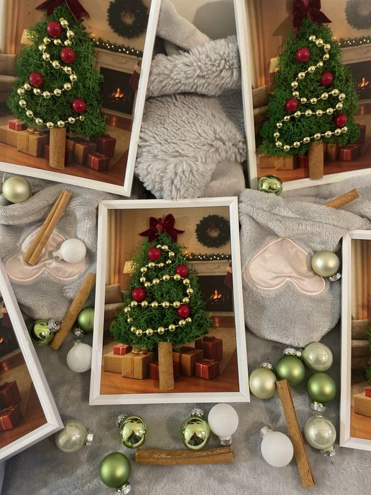 Tablou cu licheni stabilizati naturali