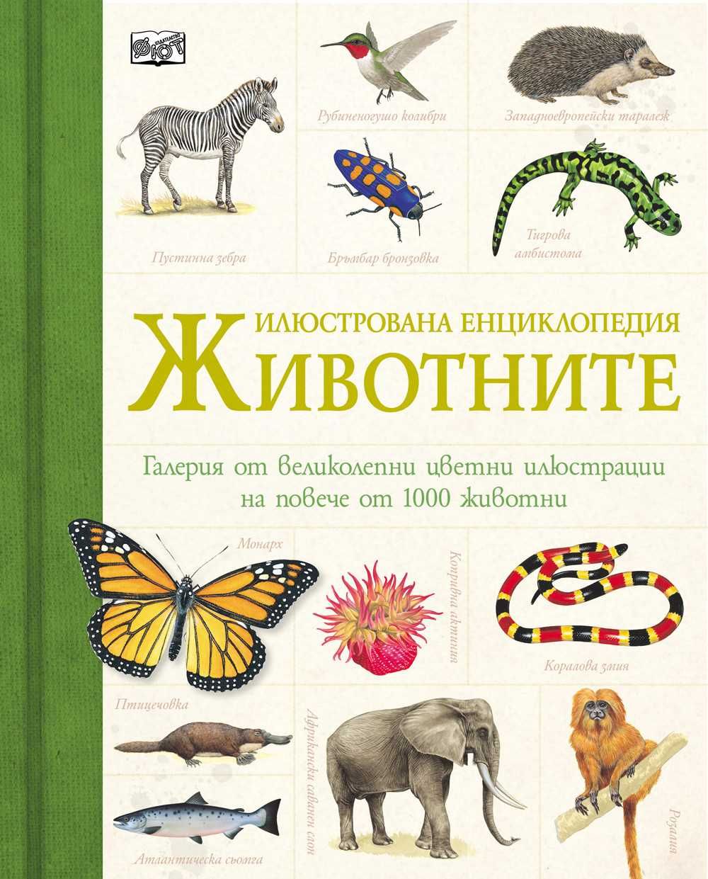 Книги,пъзели,детски книги,химикалки,ролери,органайзери и ...