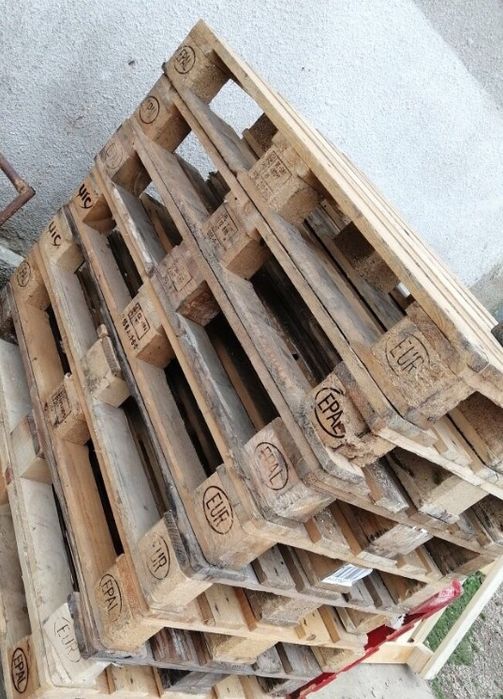 Paleti euro asigur si transport