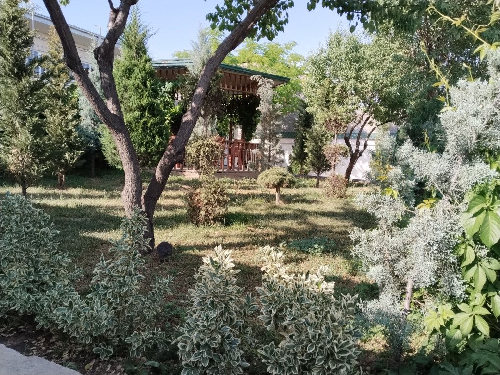 Dacha qibrayda oilaviy