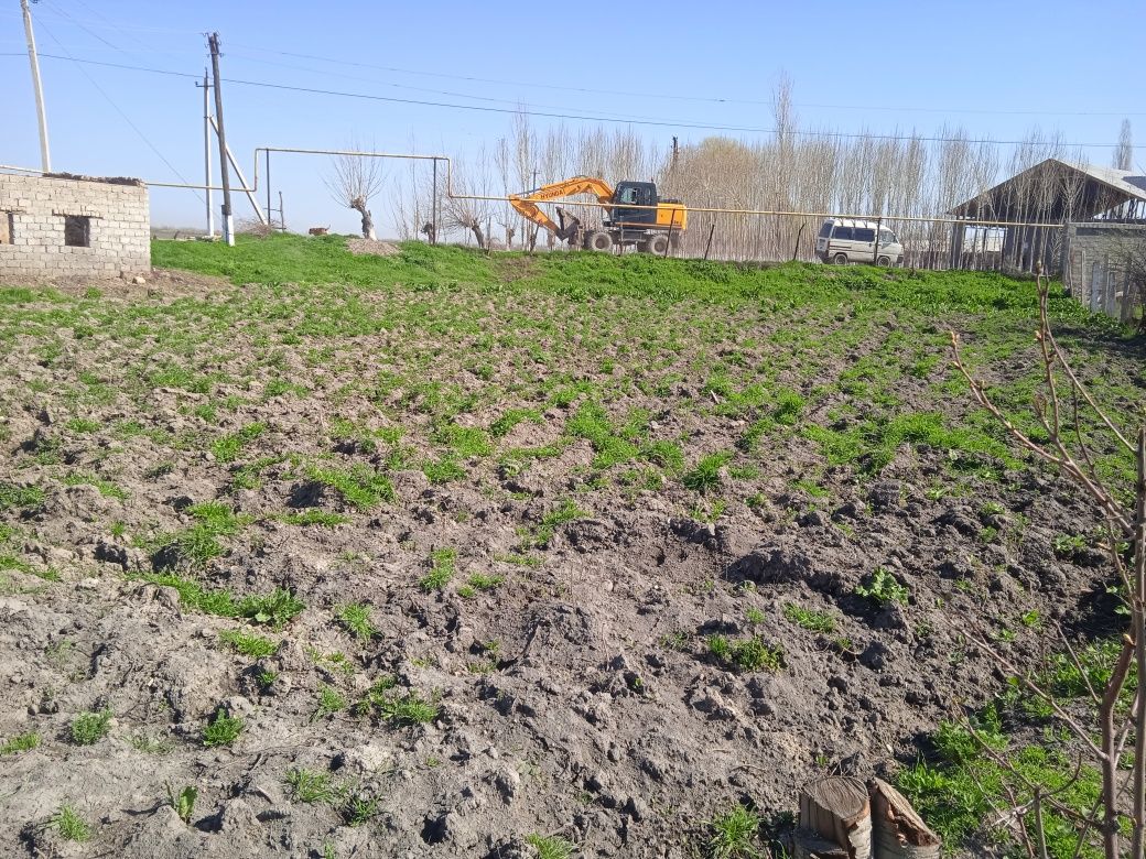 Hovli joy 8sotix