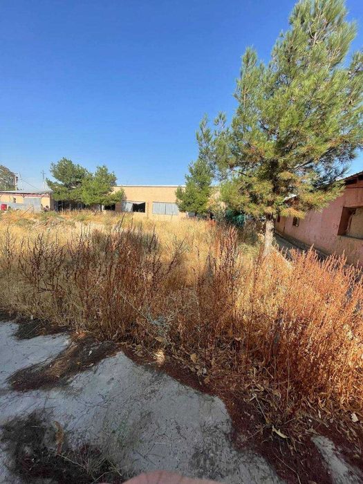 Имеется магазин на первой линии трассы