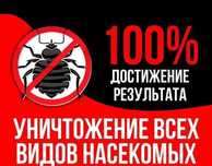 100% natija va kafolat klop klapa Dezinfeksiya dezenfeksiya chivin