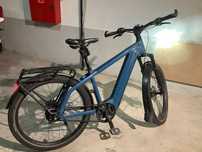 Riese Muller Charger4