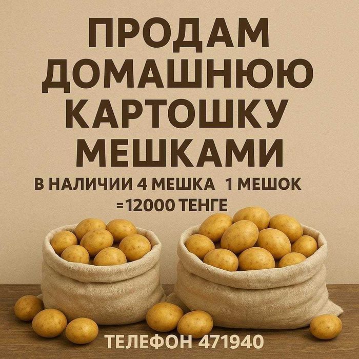 картошка домашняя