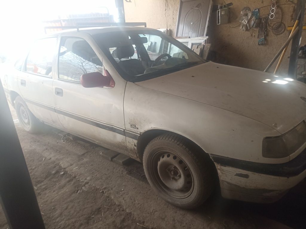 Zabaeb zabubek x