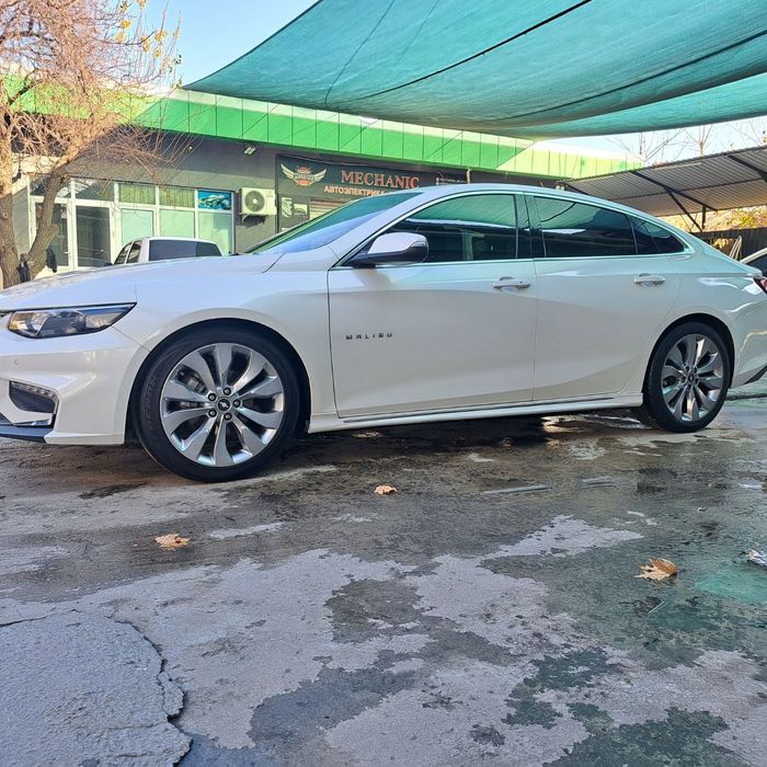 Baloni xolati ortacha