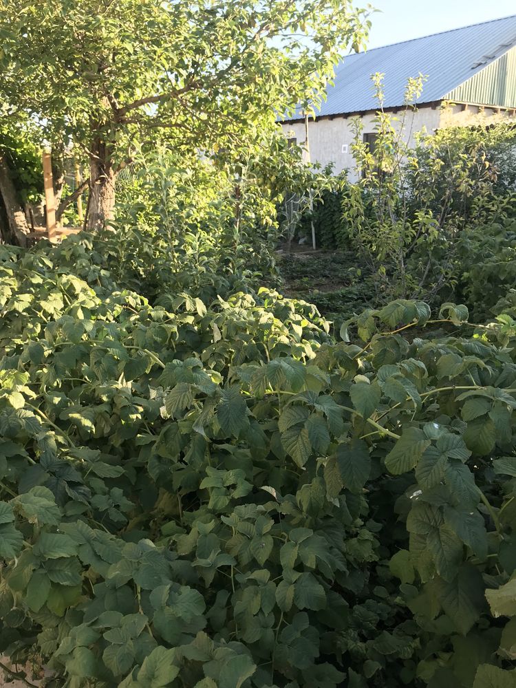 Продам жилую дачу