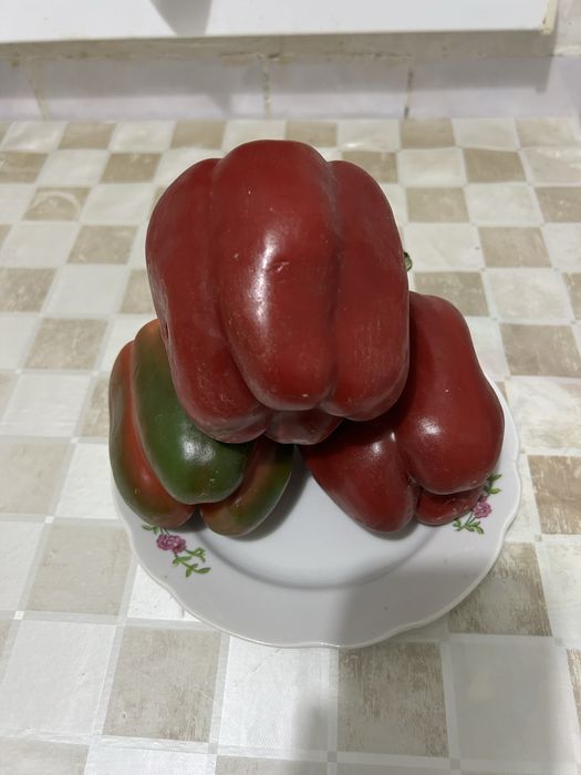 Перец болгарский и горкий