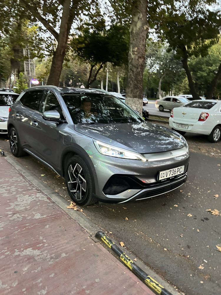 Опытный водитель с своим Авто BYD Yuan