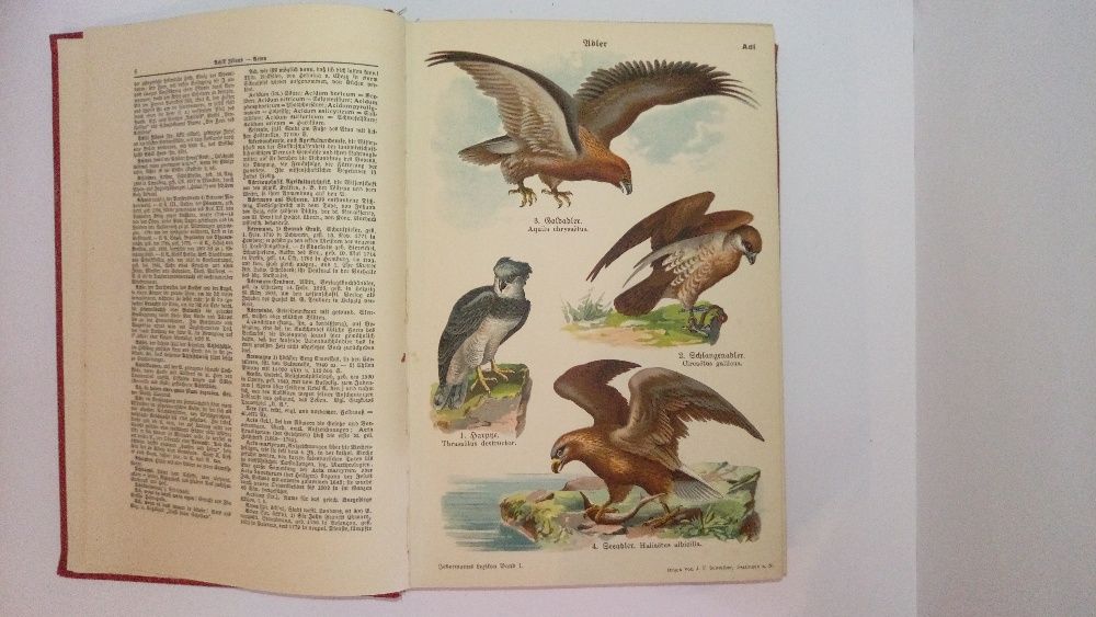 Carte / Carti Jedermanns LEXICON tiparit 1929/1930/1931 - 10 volume