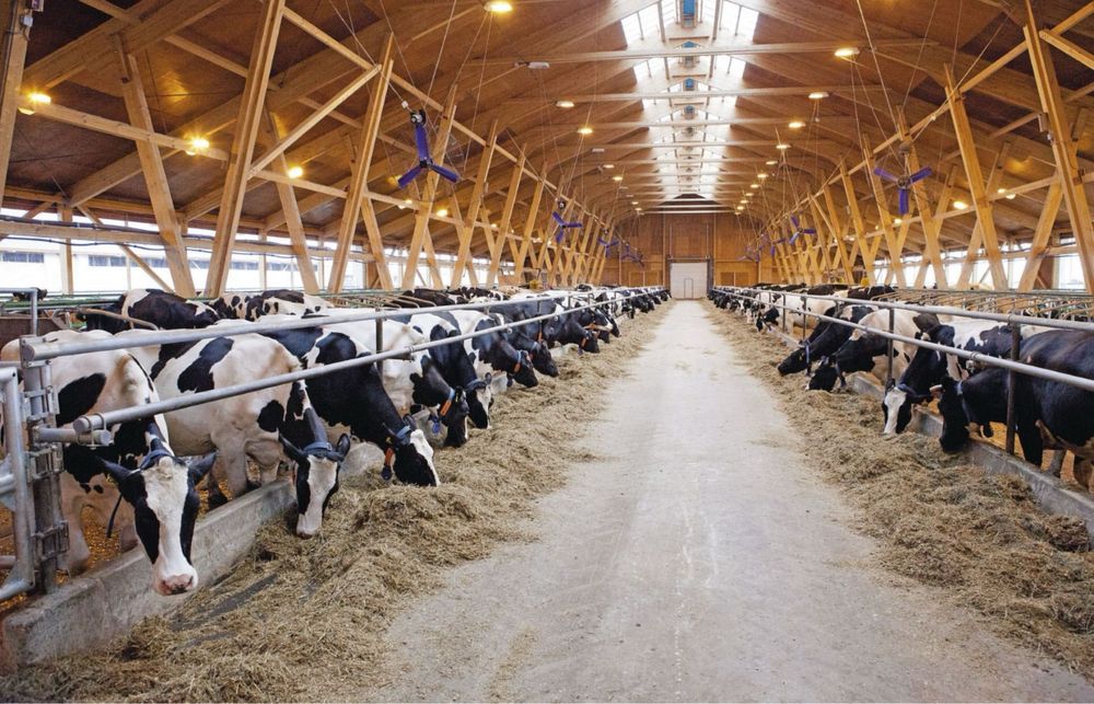 Продается новый Ферма в Бухаре