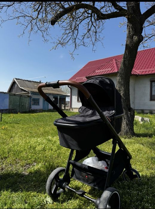 Carucior 3 in 1 FreeOn Bloom