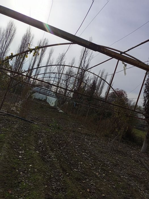 Parnik pirofildan tayyor parnik sotiladi