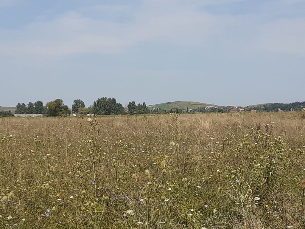 Teren 3000 mp în zona Viile Sibiului, Sibiu