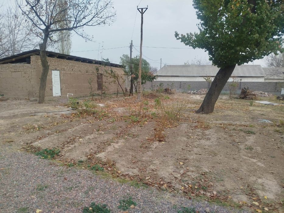 Срочна Соғломда  Ховли сотилади !