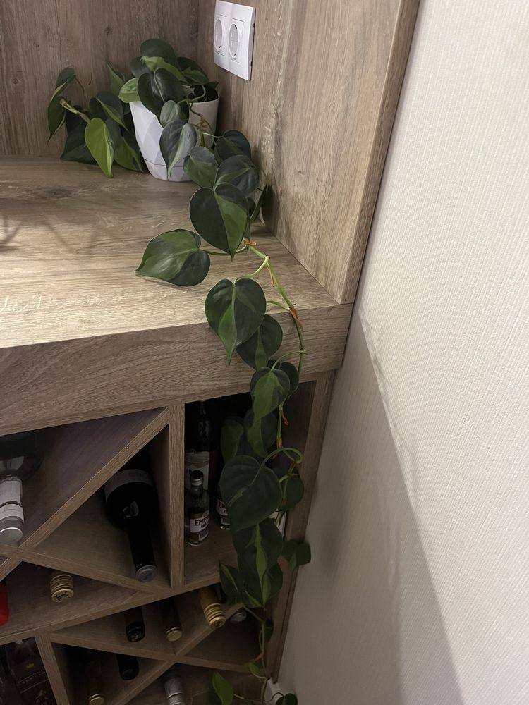 Стайно видящо цвете