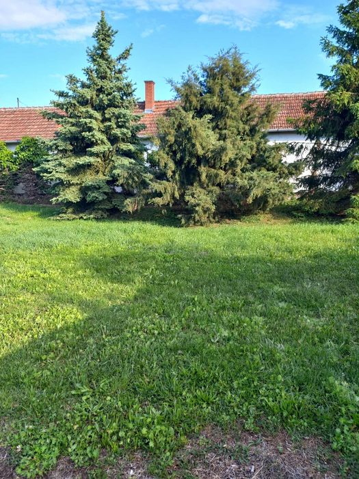 Vând în Ungaria casă+ spațiu comercial în centrul orașului Komádi