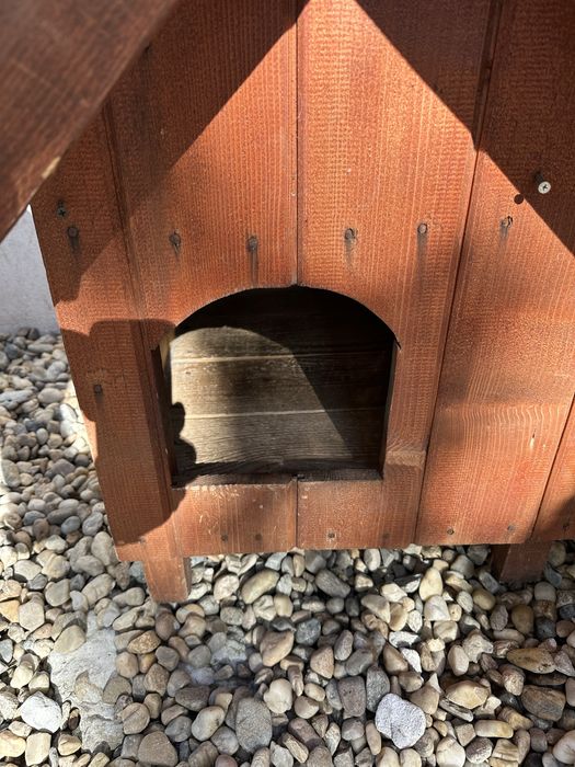 Cusca caine talie mica