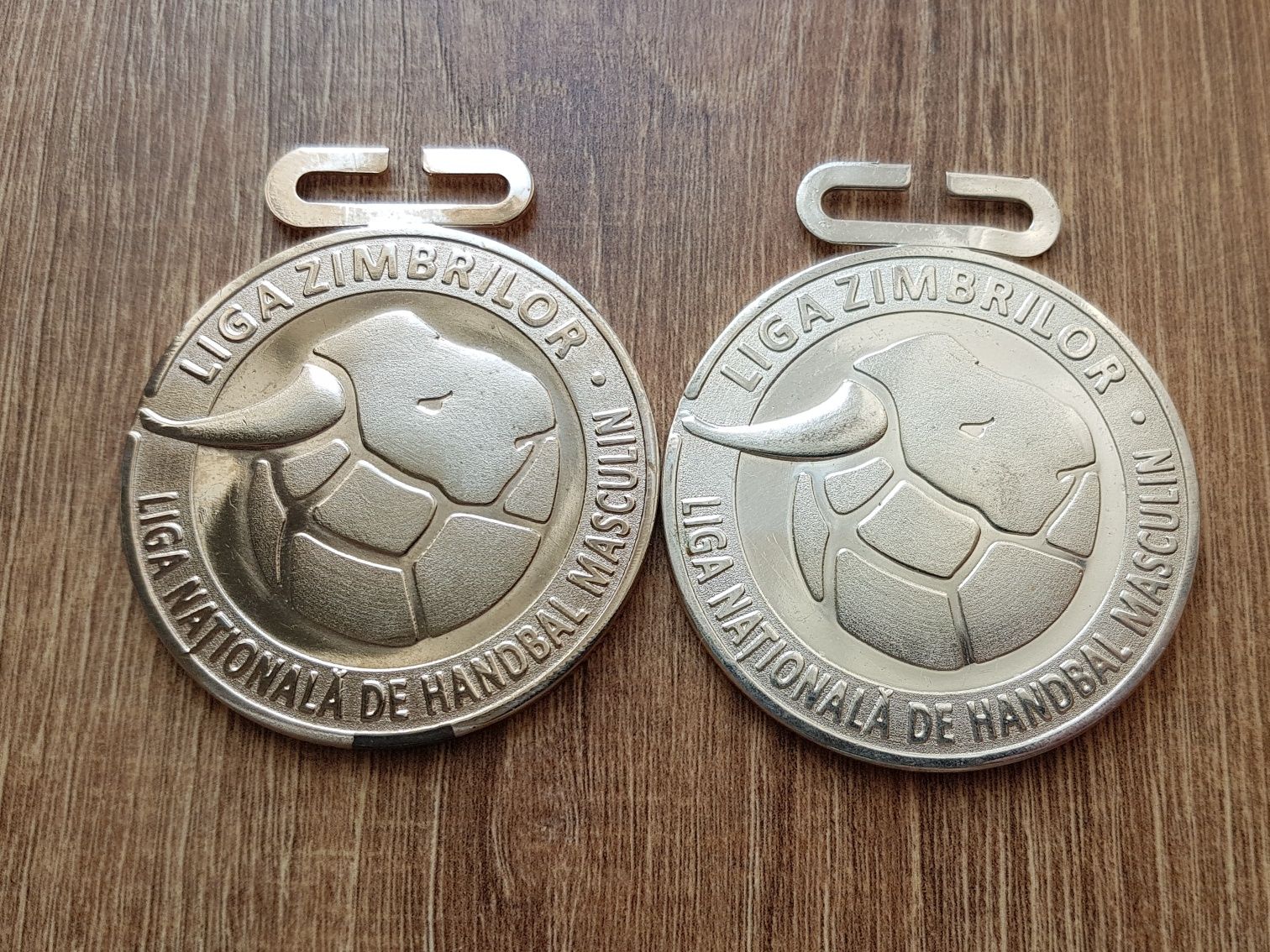Doua medalii Liga Zimbrilor, liga nationala de handbal masculin