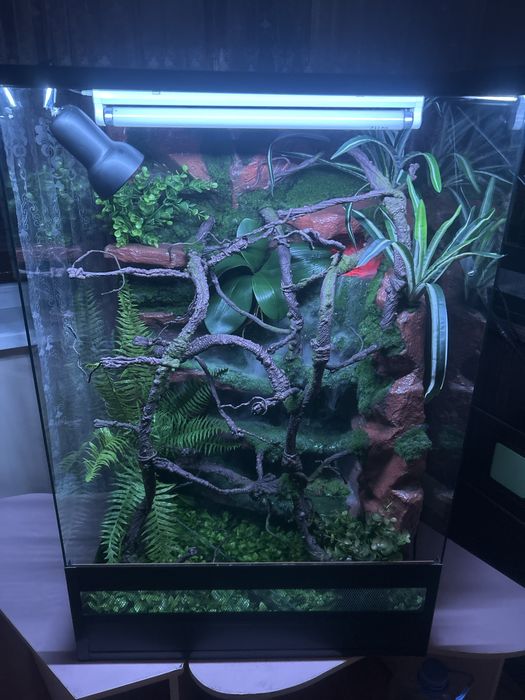 Изготовление террариумов