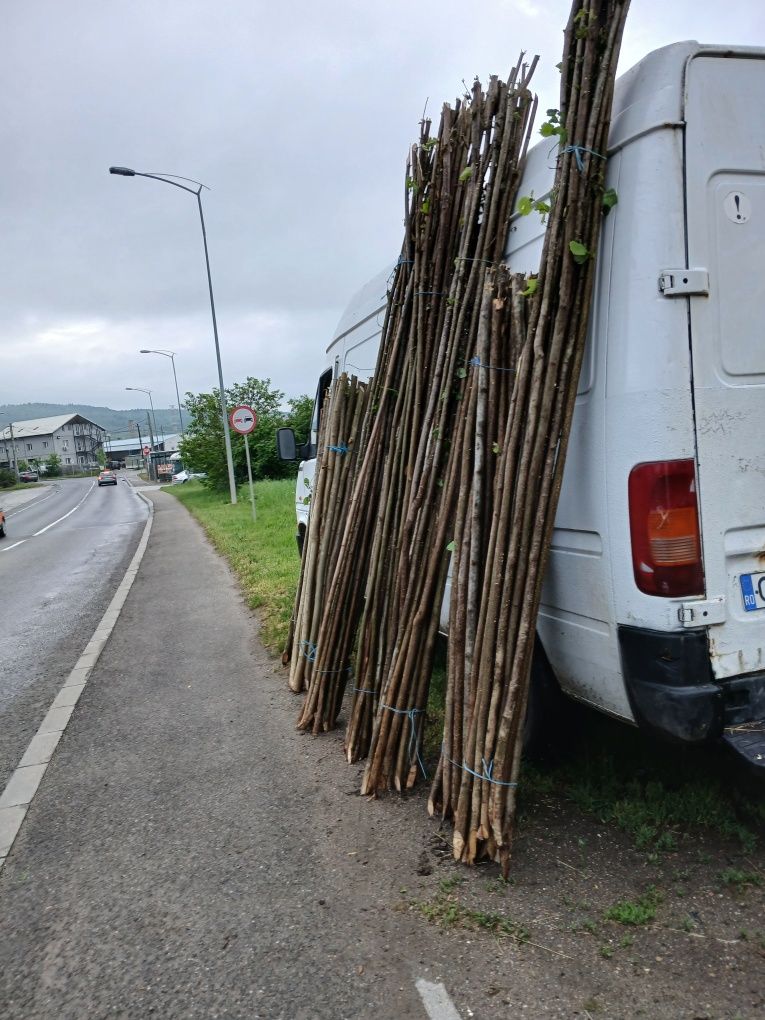 Vând pari de roșii și de fasole și de gard eletric preț fix 2 lei