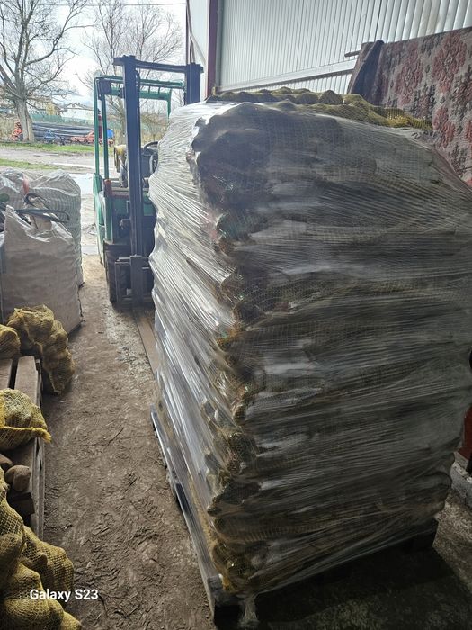 Картофи Сорая за консумация