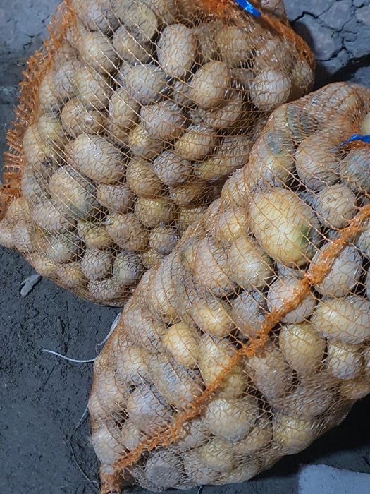 Vând cartofi pentru animale